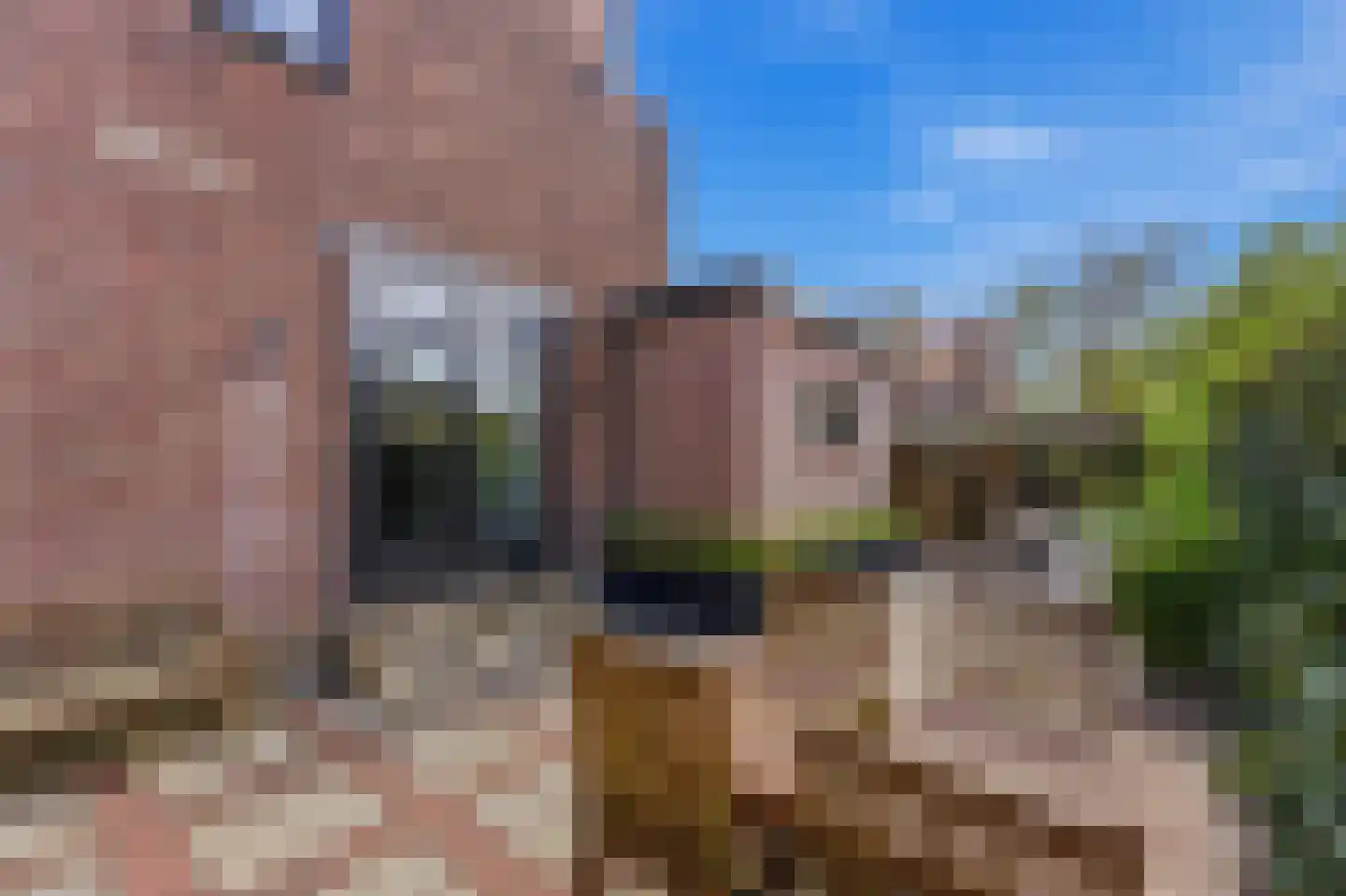 Cornelis Smitstraat 1 Alblasserdam thumbnail 42