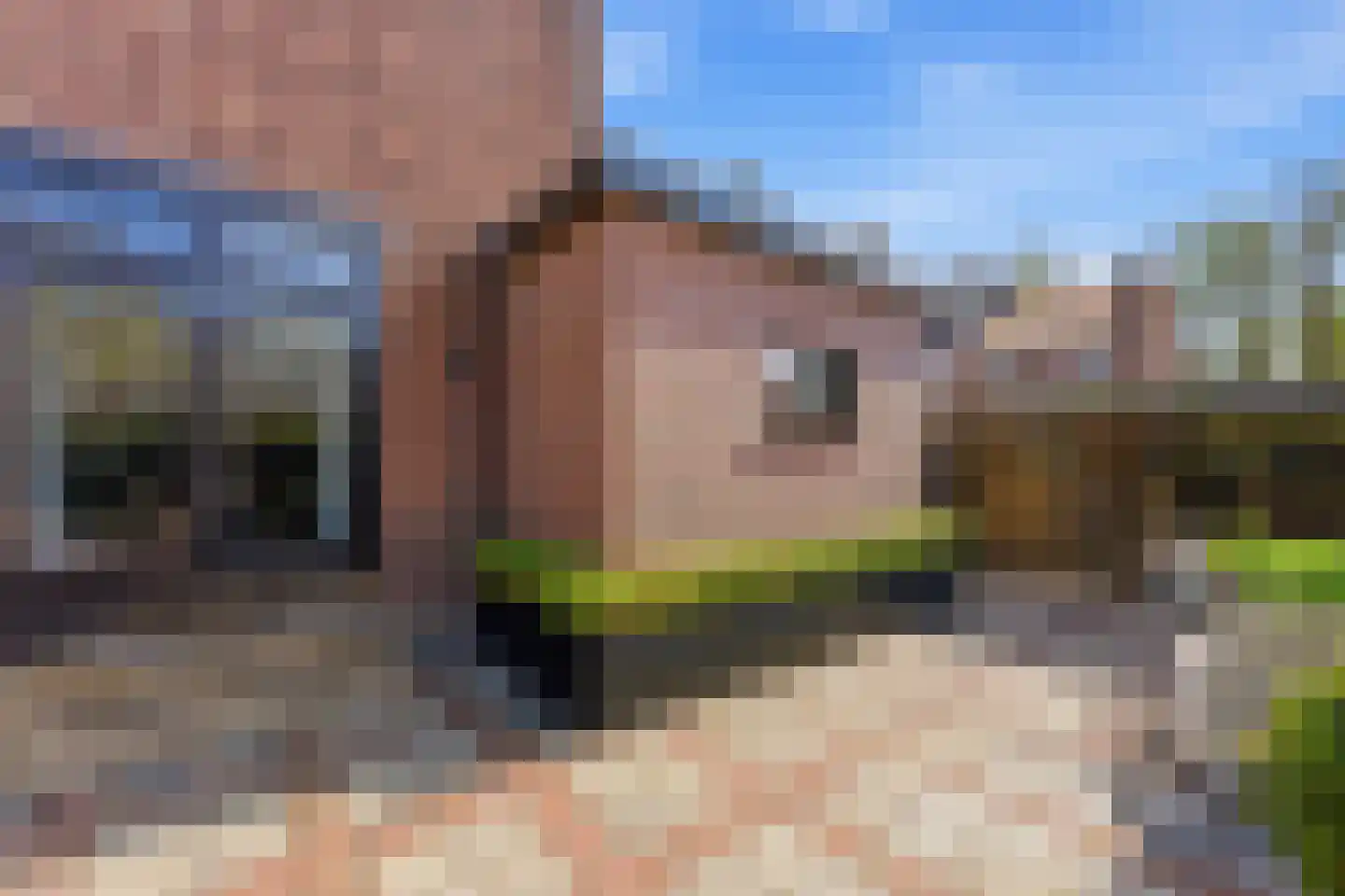 Cornelis Smitstraat 1 Alblasserdam thumbnail 47