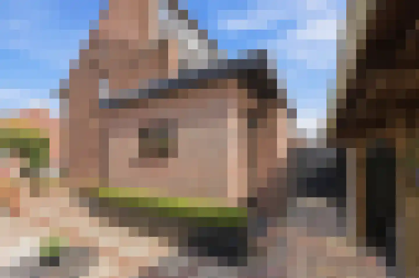 Cornelis Smitstraat 1 Alblasserdam thumbnail 49