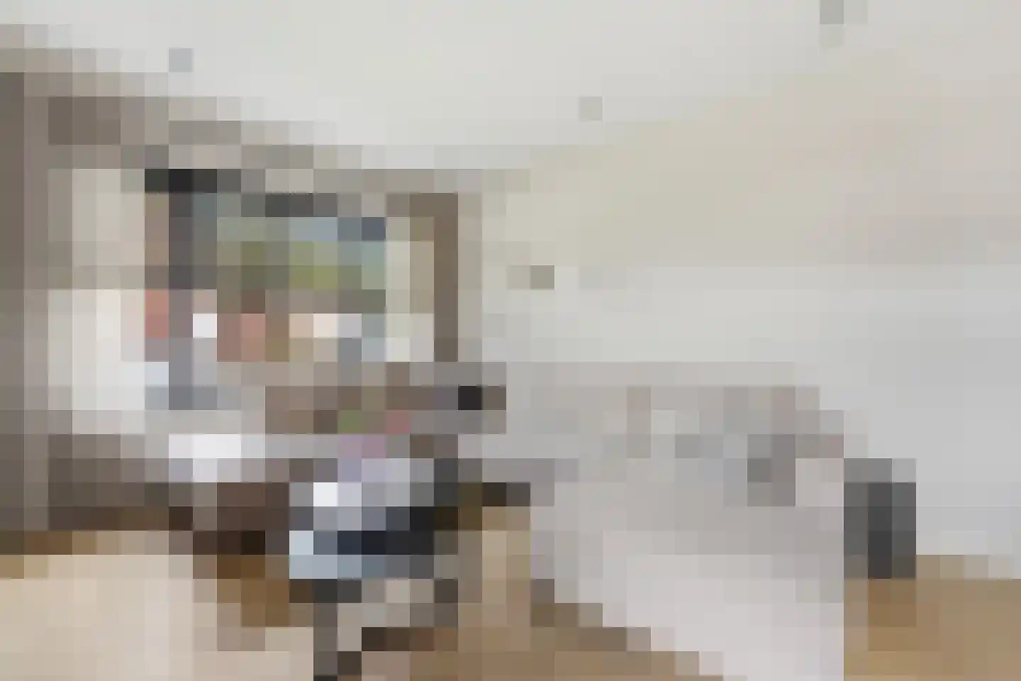 Cornelis Smitstraat 1 Alblasserdam thumbnail 5