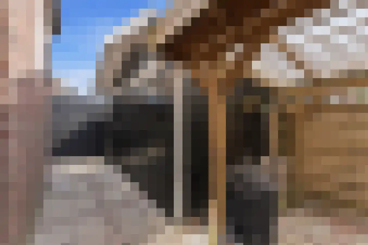Cornelis Smitstraat 1 Alblasserdam thumbnail 51