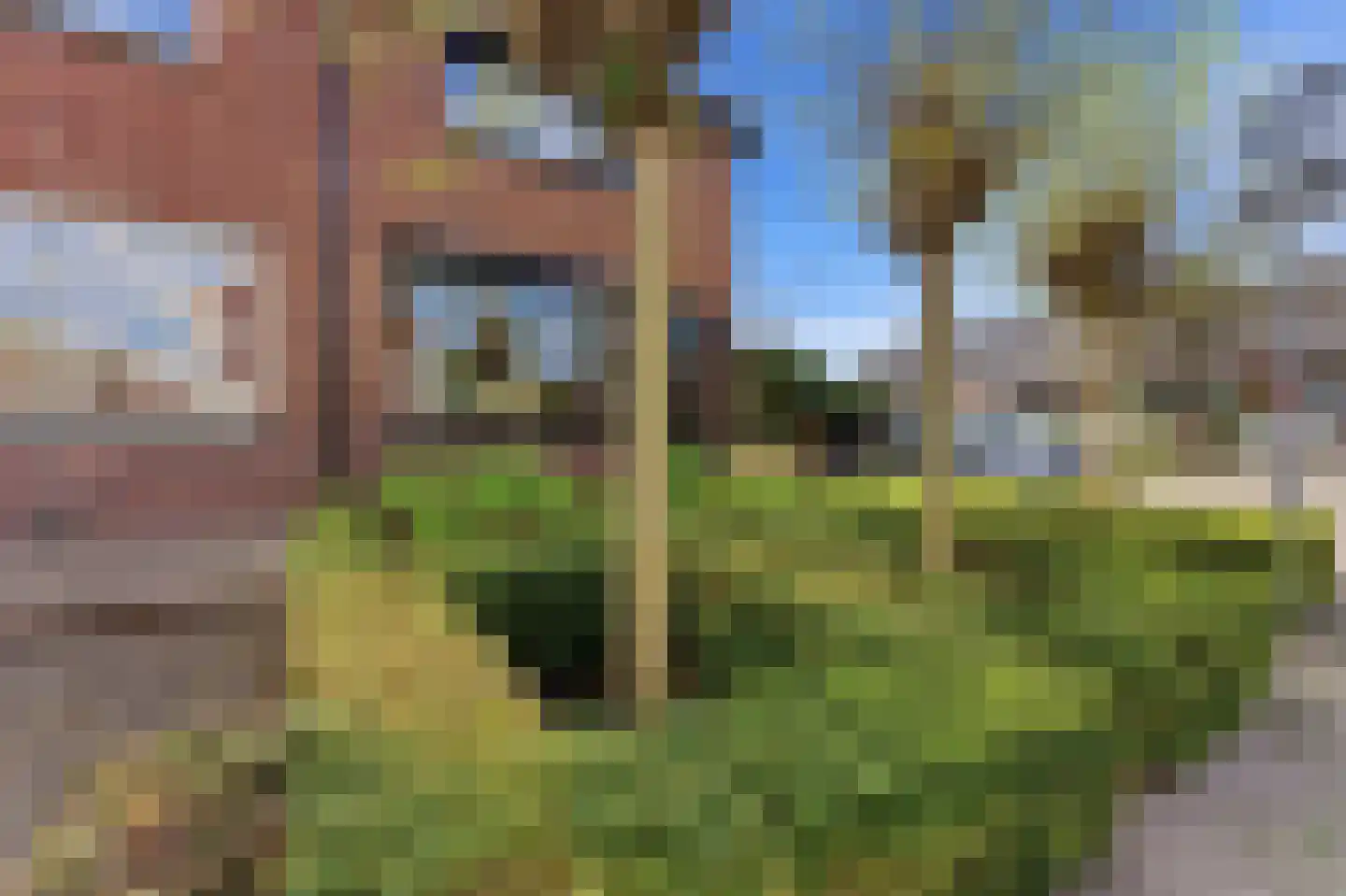 Cornelis Smitstraat 1 Alblasserdam thumbnail 55