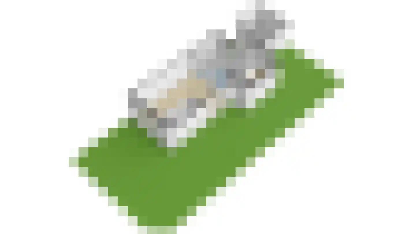 Cornelis Smitstraat 1 Alblasserdam thumbnail 69