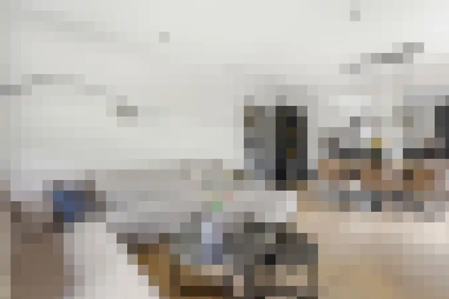 Cornelis Smitstraat 1 Alblasserdam thumbnail 7