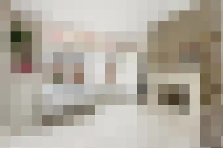 Cornelis Smitstraat 17 Alblasserdam thumbnail 11