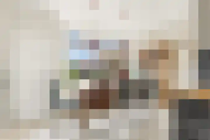Cornelis Smitstraat 17 Alblasserdam thumbnail 17