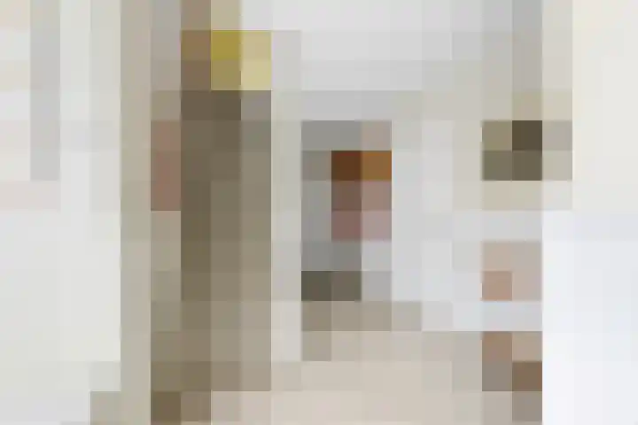 Cornelis Smitstraat 17 Alblasserdam thumbnail 27
