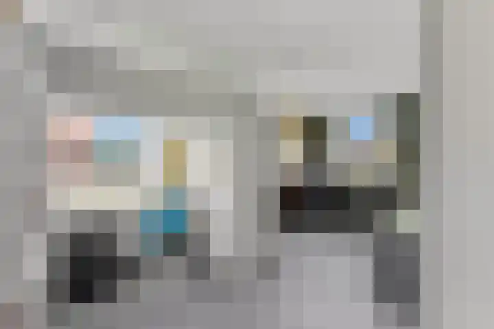 Cornelis Smitstraat 17 Alblasserdam thumbnail 32