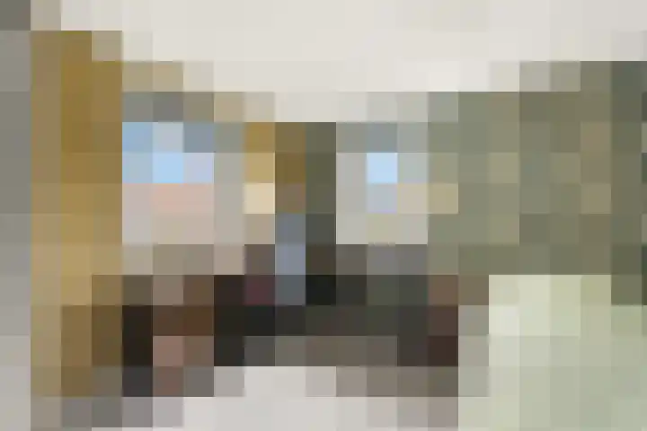 Cornelis Smitstraat 17 Alblasserdam thumbnail 33