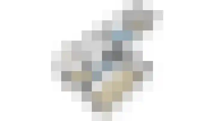 Cornelis Smitstraat 17 Alblasserdam thumbnail 69