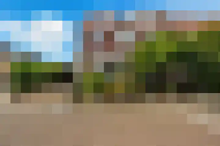 Cornelis Smitstraat 17 Alblasserdam thumbnail 74
