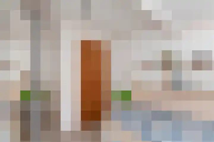 Cornelis Smitstraat 46 Alblasserdam thumbnail 25