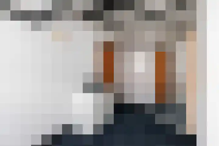 Cornelis Smitstraat 46 Alblasserdam thumbnail 28