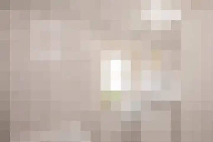 Cornelis Smitstraat 46 Alblasserdam thumbnail 30
