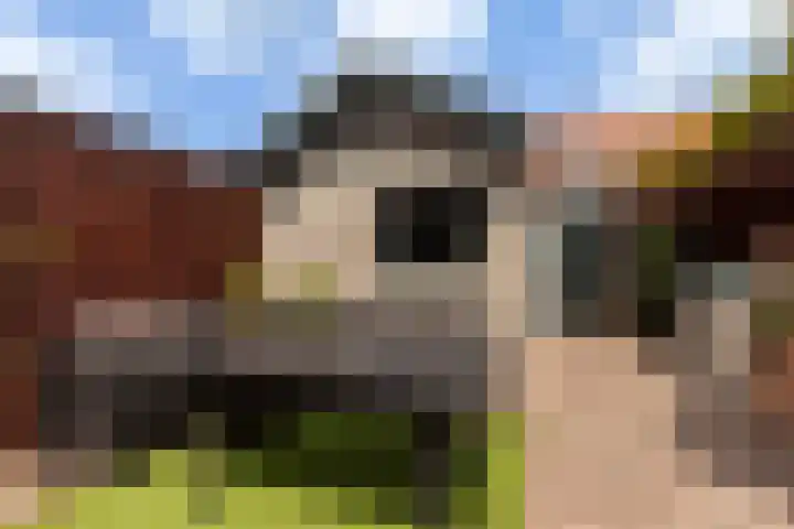 Cornelis Smitstraat 46 Alblasserdam thumbnail 36