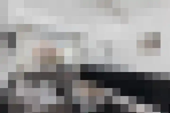 Cornelis Smitstraat 46 Alblasserdam thumbnail 8