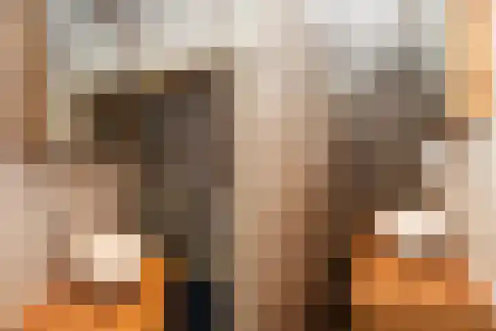 Cornelis Smitstraat 50 Alblasserdam thumbnail 18