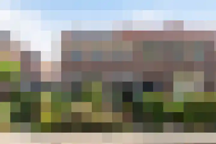 Cornelis Smitstraat 50 Alblasserdam thumbnail 24