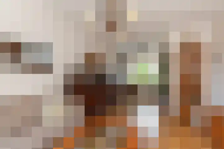 Cornelis Smitstraat 50 Alblasserdam thumbnail 6