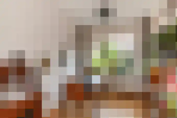 Cornelis Smitstraat 50 Alblasserdam thumbnail 7