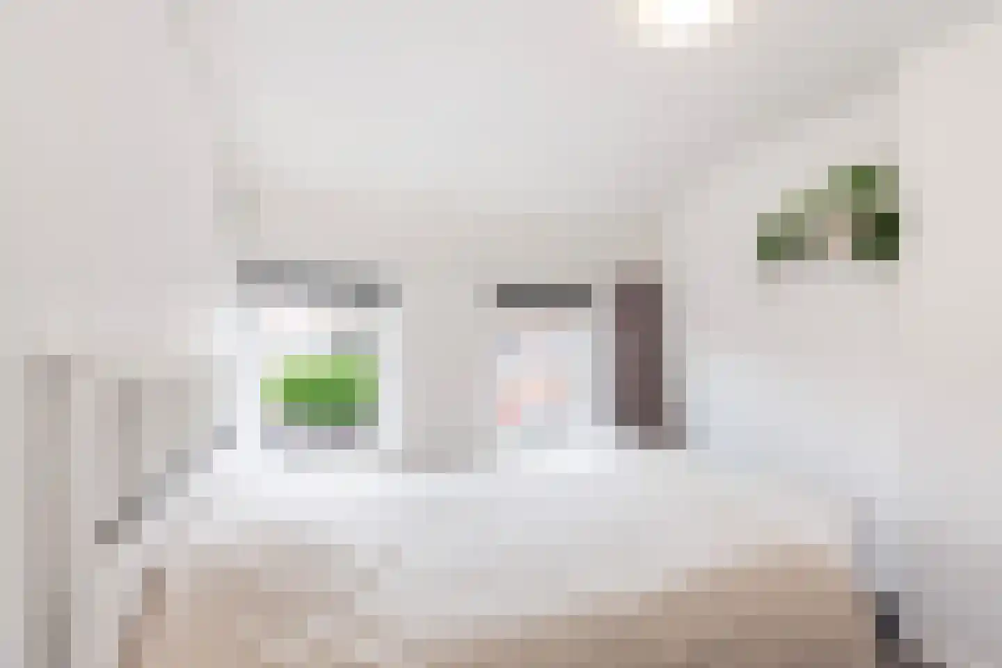Cornelis Smitstraat 56 Alblasserdam thumbnail 13