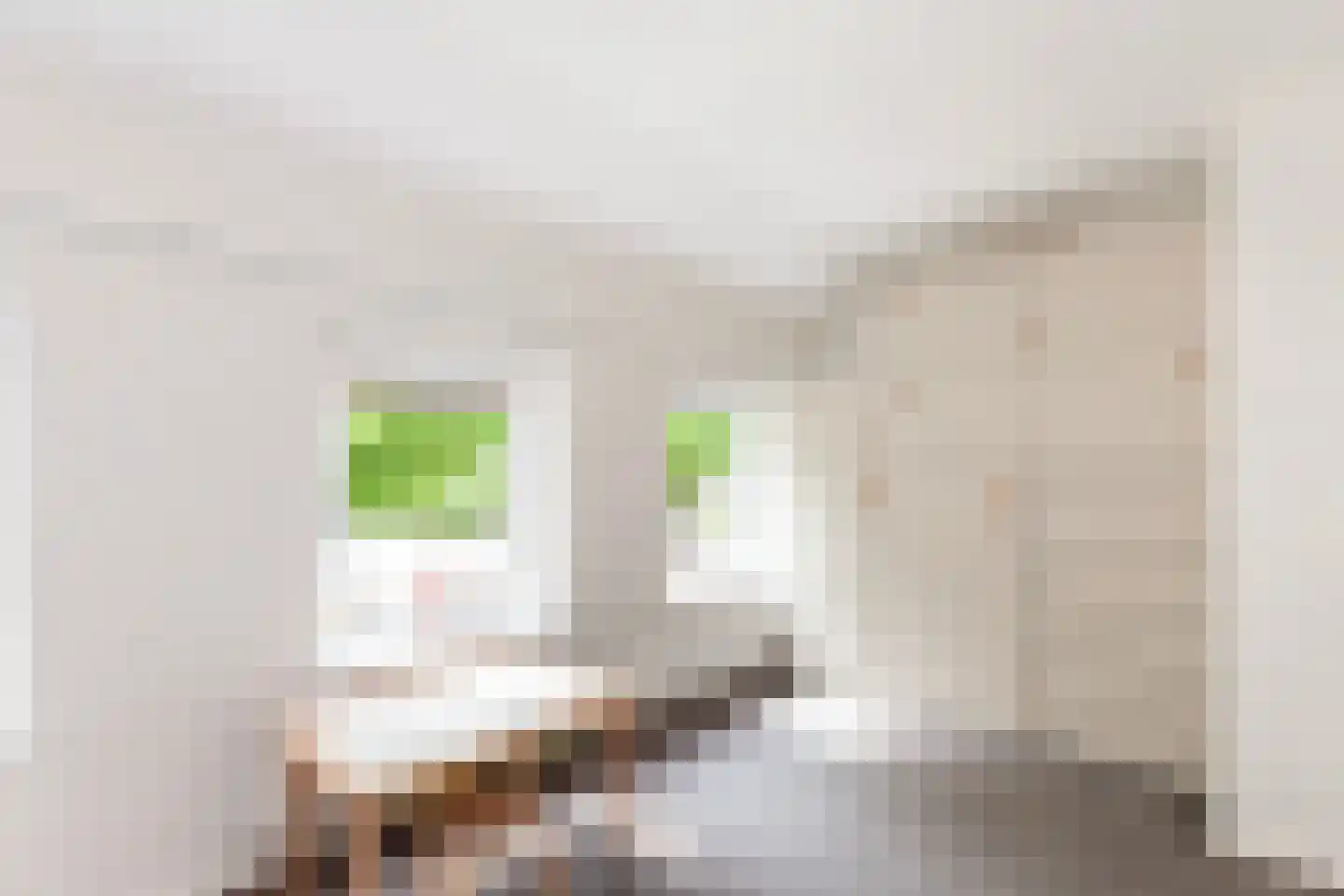 Cornelis Smitstraat 56 Alblasserdam thumbnail 19