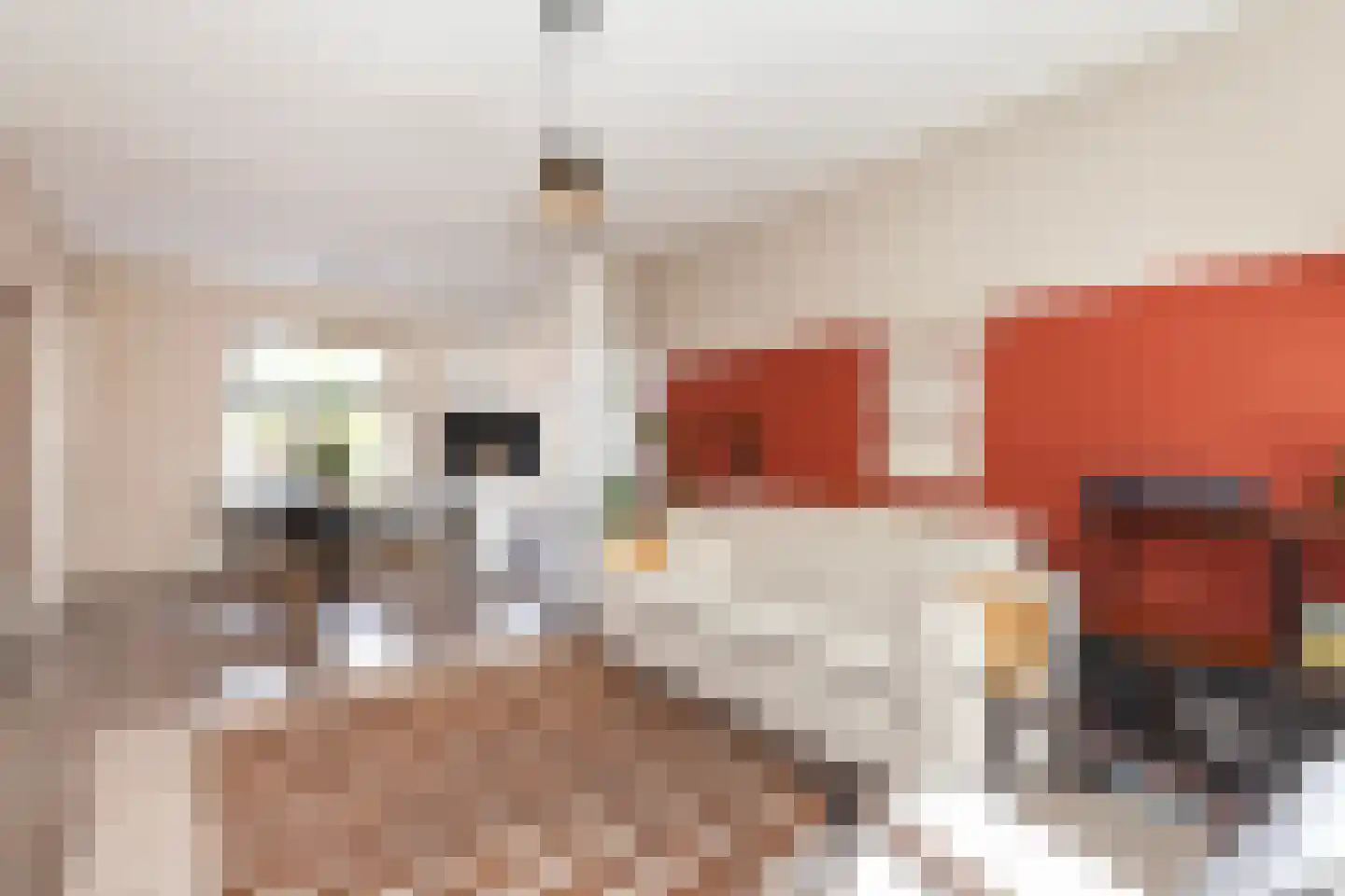 Cornelis Smitstraat 56 Alblasserdam thumbnail 5