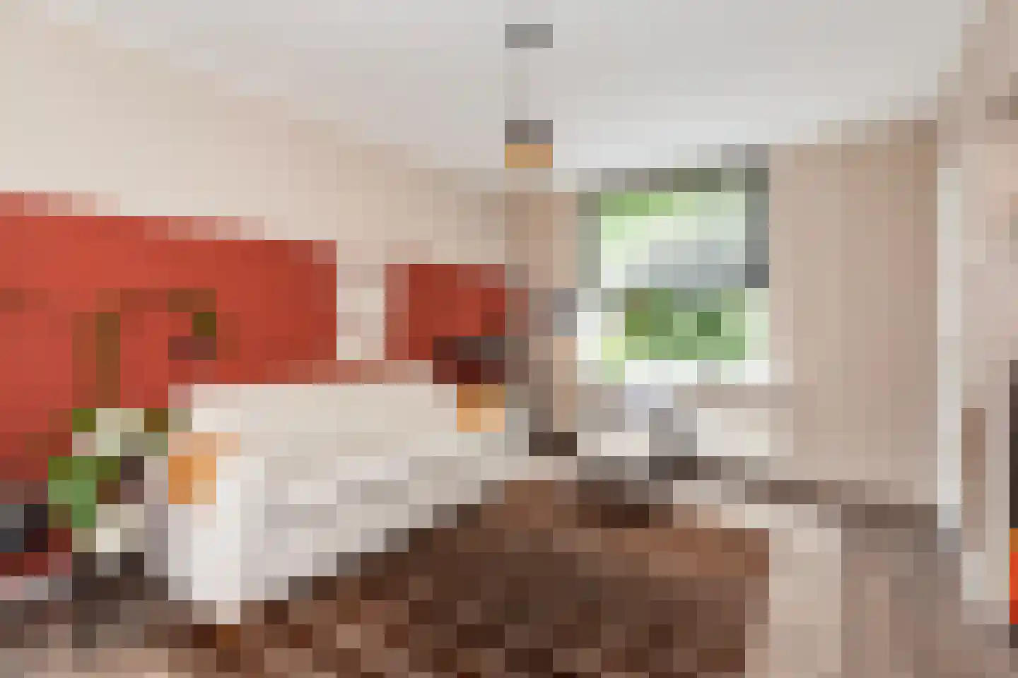 Cornelis Smitstraat 56 Alblasserdam thumbnail 7