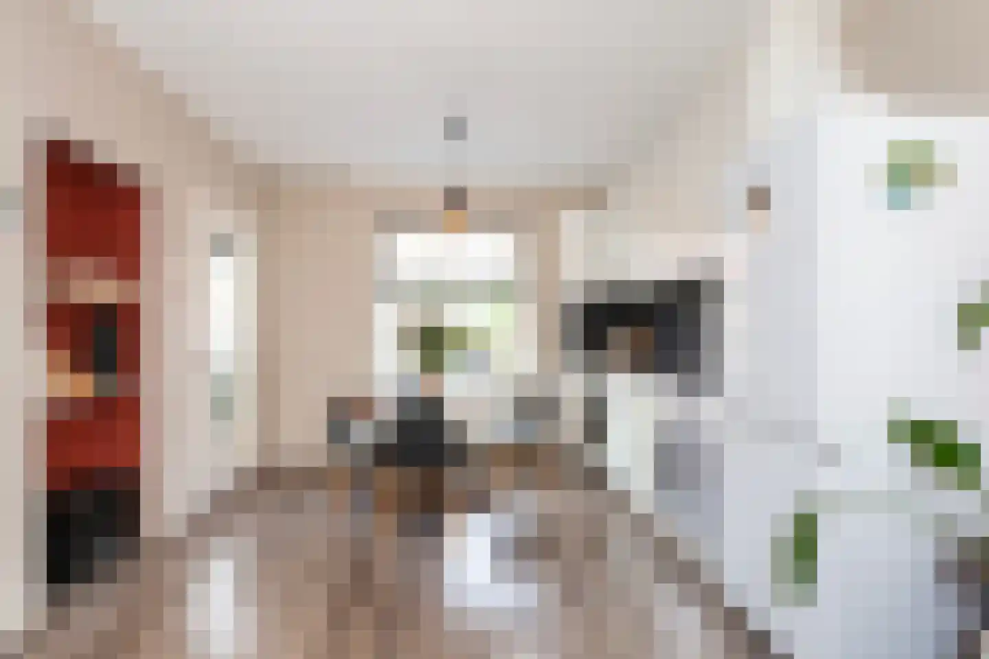 Cornelis Smitstraat 56 Alblasserdam thumbnail 8
