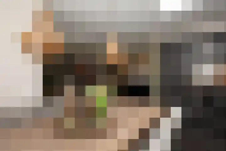 Cornelis Smitstraat 58 Alblasserdam thumbnail 14