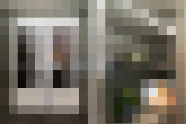 Cornelis Smitstraat 58 Alblasserdam thumbnail 17