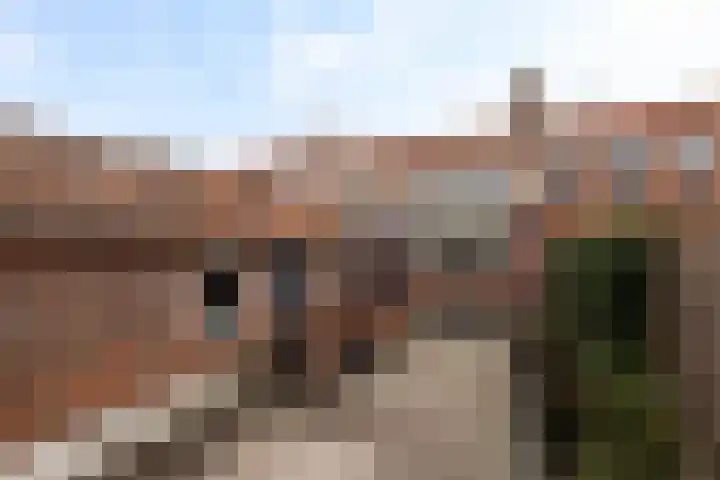 Cornelis Smitstraat 58 Alblasserdam thumbnail 32