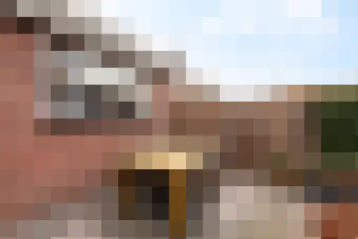 Cornelis Smitstraat 58 Alblasserdam thumbnail 33