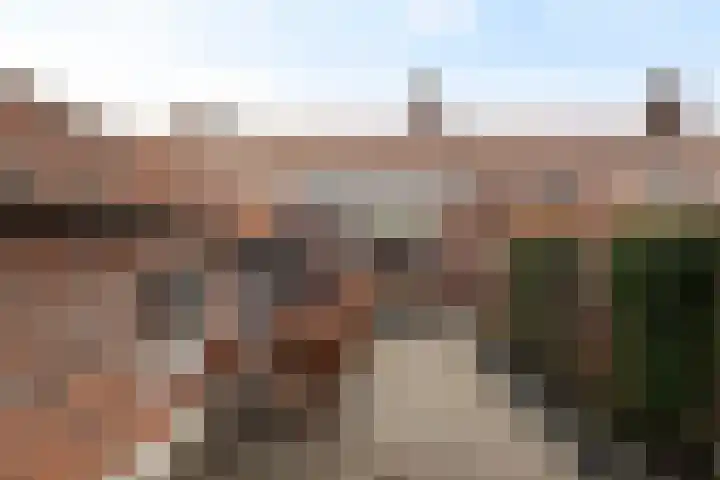 Cornelis Smitstraat 58 Alblasserdam thumbnail 35
