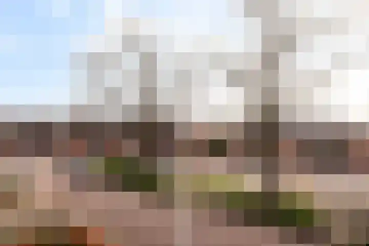 Cornelis Smitstraat 58 Alblasserdam thumbnail 36
