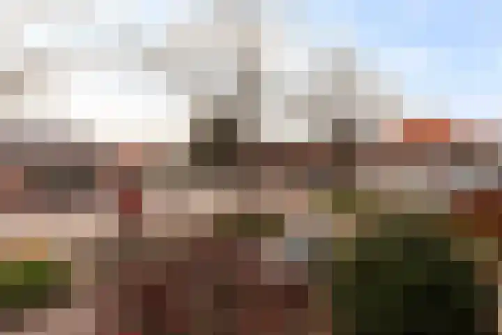 Cornelis Smitstraat 58 Alblasserdam thumbnail 37