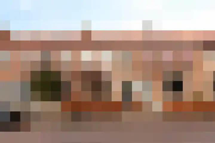 Cornelis Smitstraat 58 Alblasserdam thumbnail 38
