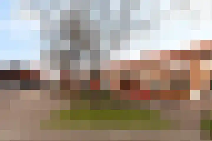 Cornelis Smitstraat 58 Alblasserdam thumbnail 39