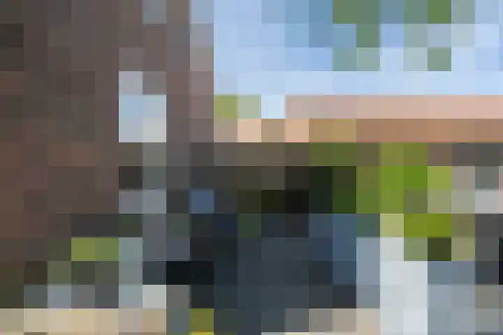 Cornelis Smitstraat 76 Alblasserdam thumbnail 29