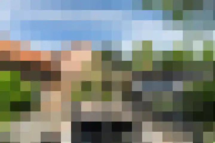 Cornelis Smitstraat 76 Alblasserdam thumbnail 30