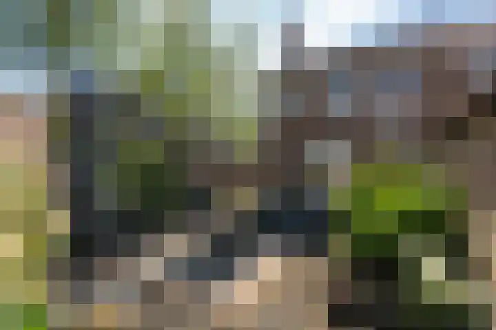 Cornelis Smitstraat 76 Alblasserdam thumbnail 32