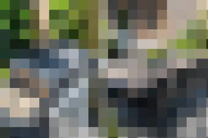 Cornelis Smitstraat 76 Alblasserdam thumbnail 33