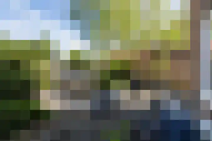 Cornelis Smitstraat 76 Alblasserdam thumbnail 5