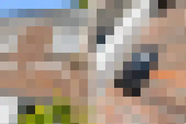 Cornelis Smitstraat 76 Alblasserdam thumbnail 8