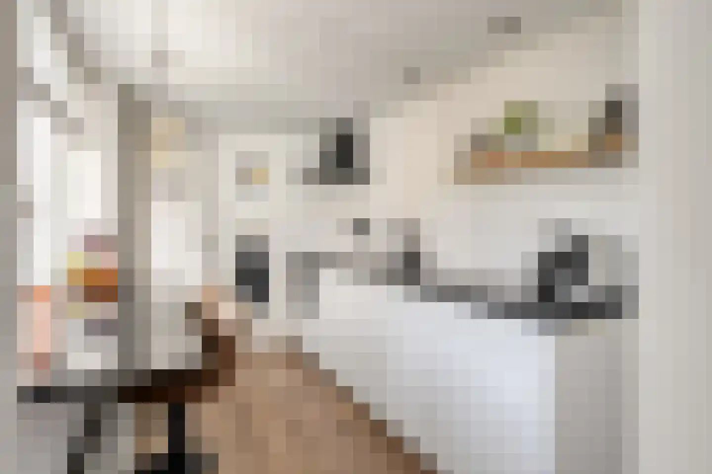 Cornelis Speelmanstraat 12 Tilburg thumbnail 12