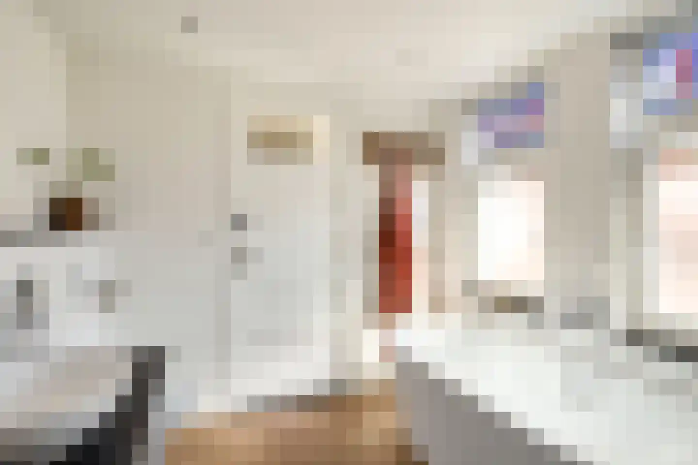Cornelis Speelmanstraat 12 Tilburg thumbnail 21