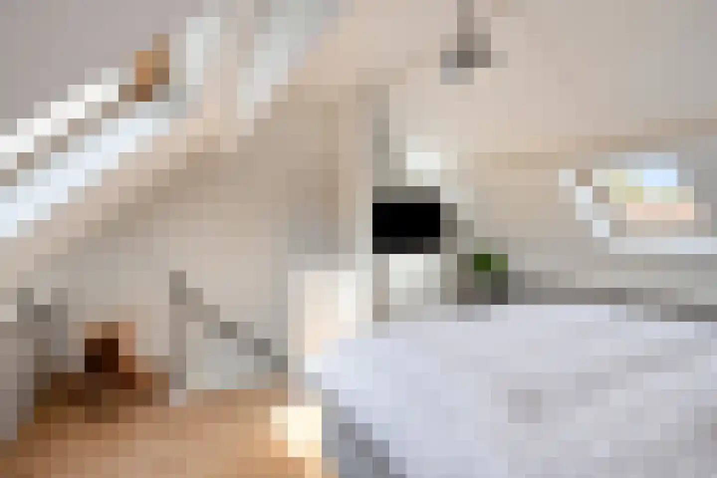 Cornelis Speelmanstraat 12 Tilburg thumbnail 30