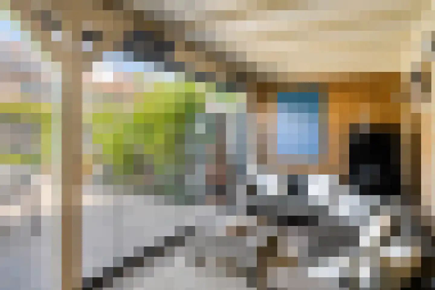 Cornelis Speelmanstraat 12 Tilburg thumbnail 34