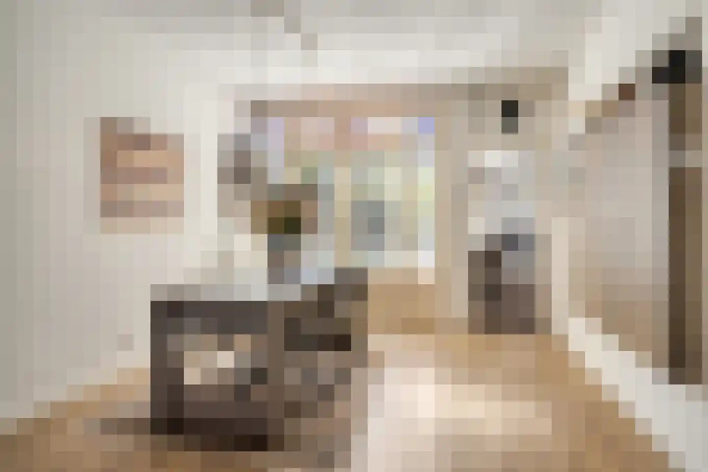Cornelis Speelmanstraat 12 Tilburg thumbnail 8