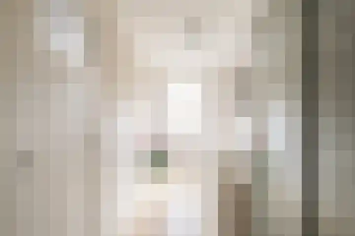 Cornelis Speelmanstraat 34 Enschede thumbnail 16